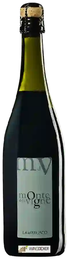 Winery Monte delle Vigne - Lambrusco Winery Monte delle Vigne - Lambrusco