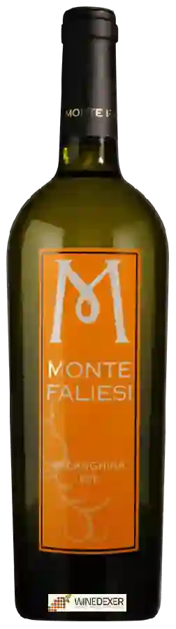 Winery Monte Faliesi - Falanghina Winery Monte Faliesi - Falanghina