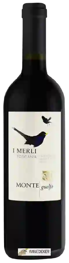 Winery Monte Guelfo - I Merli Toscana Winery Monte Guelfo - I Merli Toscana