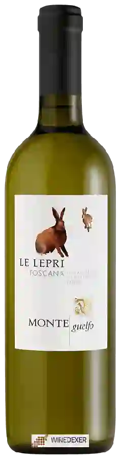 Winery Monte Guelfo - Le Lepri Toscana Winery Monte Guelfo - Le Lepri Toscana