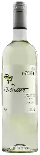 Winery Monte Paschoal - Virtus Moscato