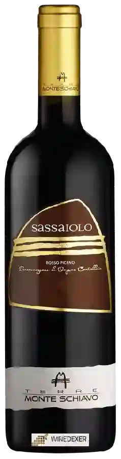 Winery Monte Schiavo - Sassaiolo Rosso Piceno Winery Monte Schiavo - Sassaiolo Rosso Piceno