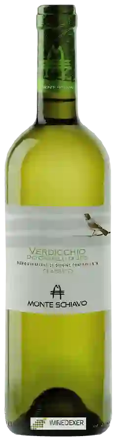 Winery Monte Schiavo - Verdicchio dei Castelli di Jesi Classico Winery Monte Schiavo - Verdicchio dei Castelli di Jesi Classico