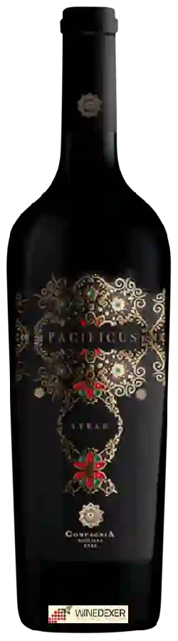 Winery Montedidio - Pacificus Syrah