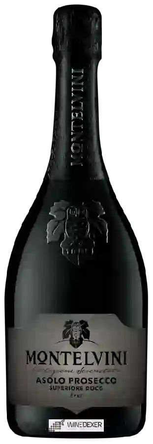 Winery Montelvini - Asolo Prosecco Superiore Brut