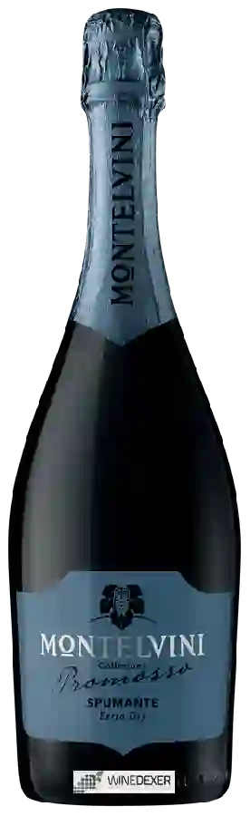 Winery Montelvini - Collezione Promosso Extra Dry Winery Montelvini - Collezione Promosso Extra Dry