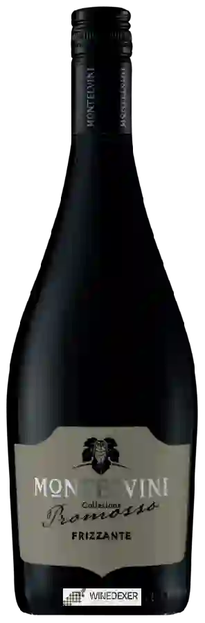 Winery Montelvini - Collezione Promosso Frizzante