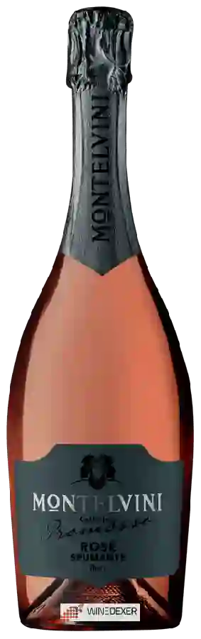 Winery Montelvini - Collezione Promosso Rosé Brut Winery Montelvini - Collezione Promosso Rosé Brut