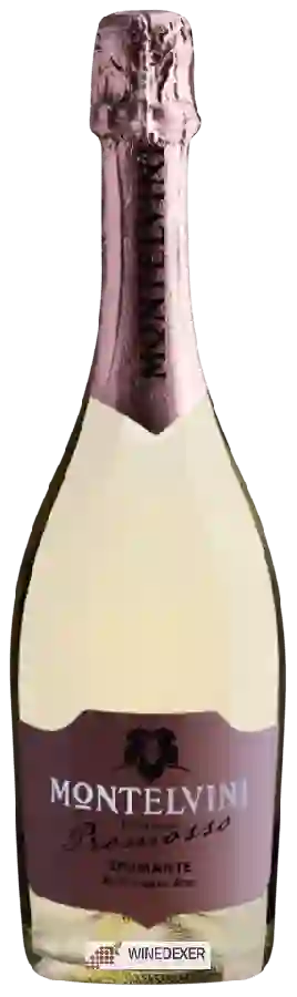Winery Montelvini - Collezione Promosso Spumante Millesimato Brut Winery Montelvini - Collezione Promosso Spumante Millesimato Brut