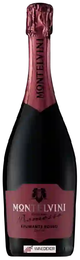 Winery Montelvini - Collezione Promosso Spumante Rosso Dolce