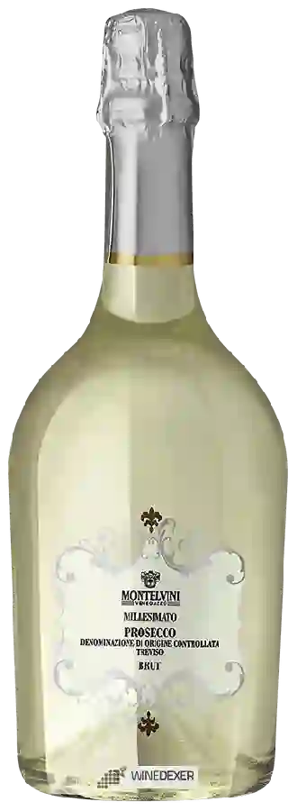 Winery Montelvini - Prosecco Treviso Millesimato Brut