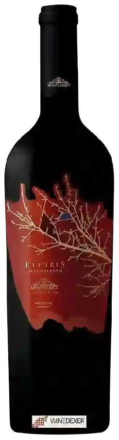 Winery Montemajor - Flétris