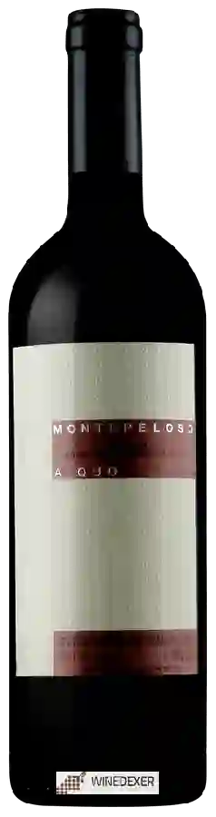 Winery Montepeloso - A Quo Toscana