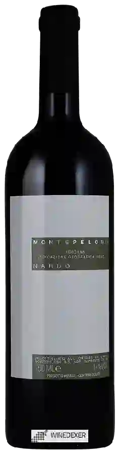 Winery Montepeloso - Nardo Toscana Winery Montepeloso - Nardo Toscana