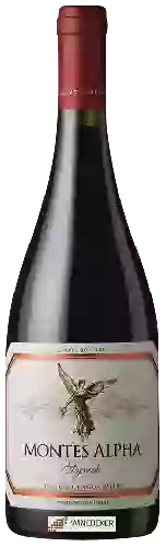 Winery Montes Alpha - Syrah