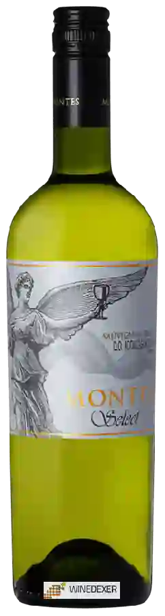 Winery Montes - Barrel Select Sauvignon Blanc