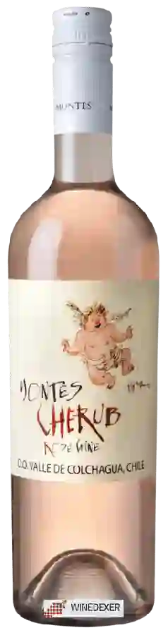 Winery Montes - Cherub (Syrah) Rosé