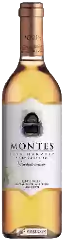 Winery Montes - Late Harvest Gewürztraminer