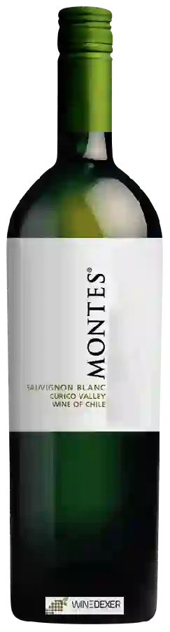 Winery Montes - Sauvignon Blanc (Classic)