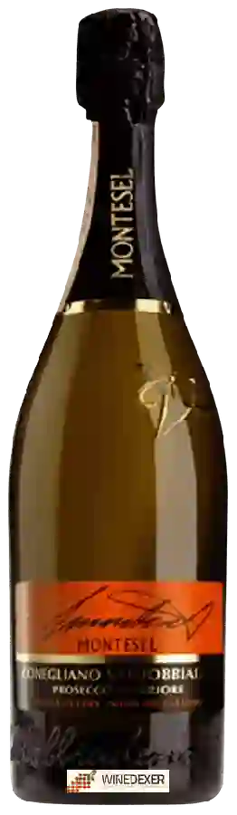 Winery Montesel - Vigna del Paradiso Conegliano Valdobbiadene Prosecco Superiore Extra Dry