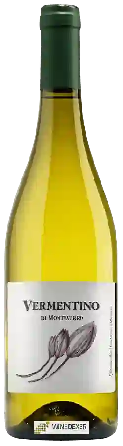 Winery Monteverro - Vermentino di Monteverro Toscana