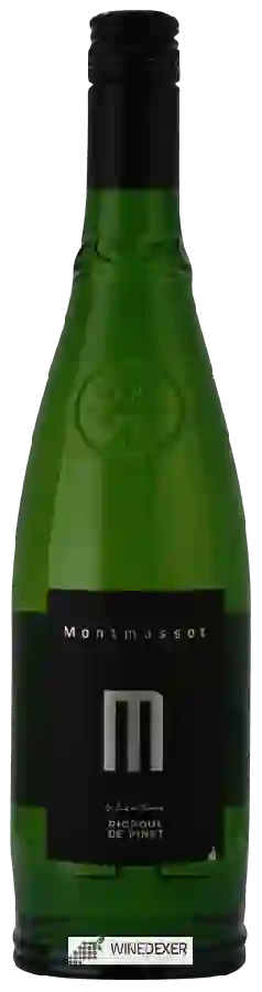 Winery Montmassot - Picpoul de Pinet Winery Montmassot - Picpoul de Pinet