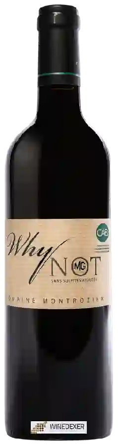 Winery Montrozier - Why Not