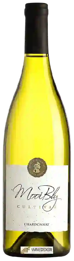 Winery Mooi Bly - Cultivar Chardonnay Winery Mooi Bly - Cultivar Chardonnay