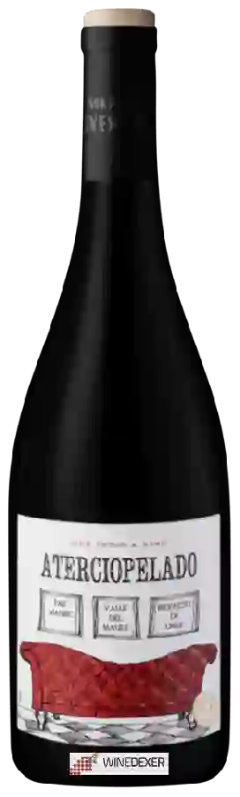 Winery Morande Adventure - Aterciopelado Winery Morande Adventure - Aterciopelado