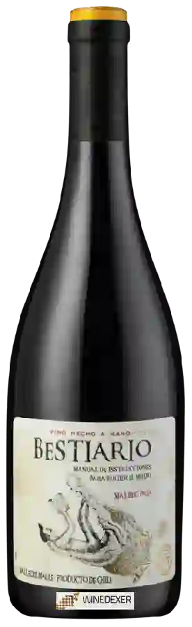 Winery Morande Adventure - Bestiario Malbec Pais