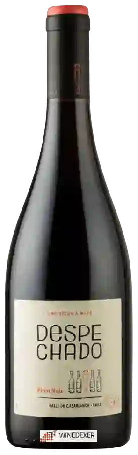 Winery Morande Adventure - Despechado Pinot Noir