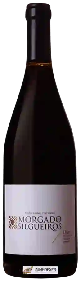 Winery Adega Cooperativa Silgueiros - Morgado de Silgueiros Tinto Winery Adega Cooperativa Silgueiros - Morgado de Silgueiros Tinto