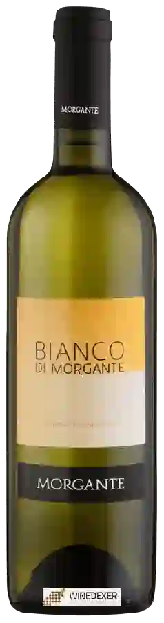 Winery Morgante - Bianco di Morgante Winery Morgante - Bianco di Morgante