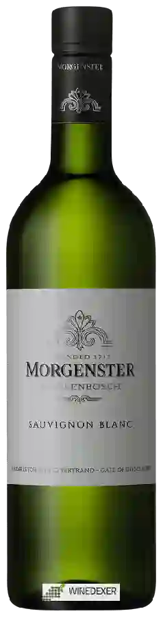 Winery Morgenster Estate - Sauvignon Blanc Winery Morgenster Estate - Sauvignon Blanc