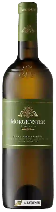 Winery Morgenster Estate - White Reserve