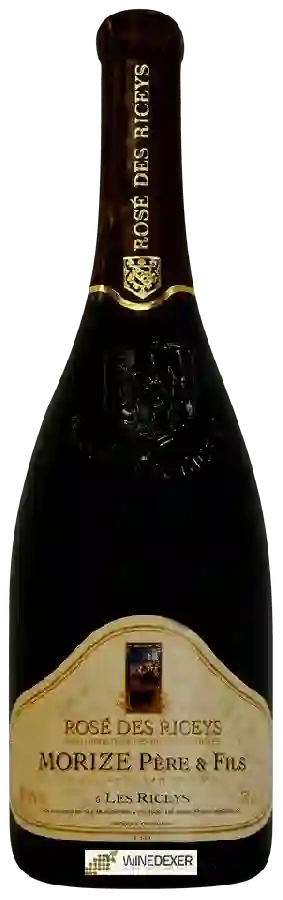 Winery Morize Père & Fils - Rosé des Riceys