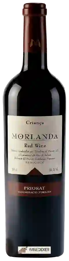 Winery Morlanda - Criança