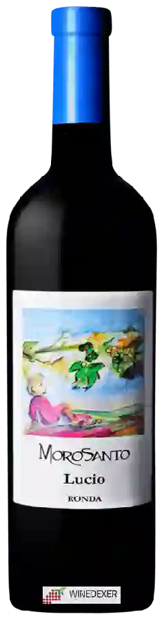 Winery Morosanto - Lucio