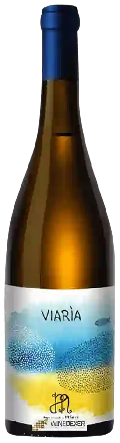 Winery Mortellito - Viarìa Winery Mortellito - Viarìa