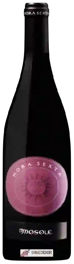 Winery Mosole - Hora Sexta