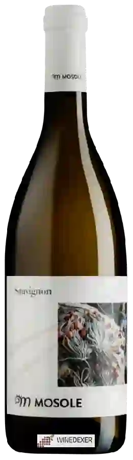 Winery Mosole - Sauvignon Winery Mosole - Sauvignon