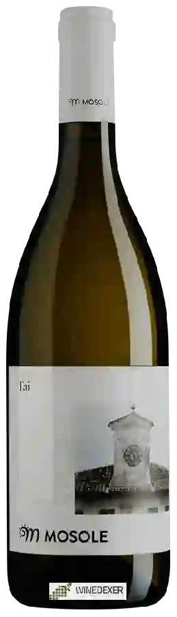 Winery Mosole - Tai