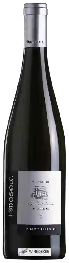 Winery Mosole - Vigneti In S.Stino di Livenza Pinot Grigio