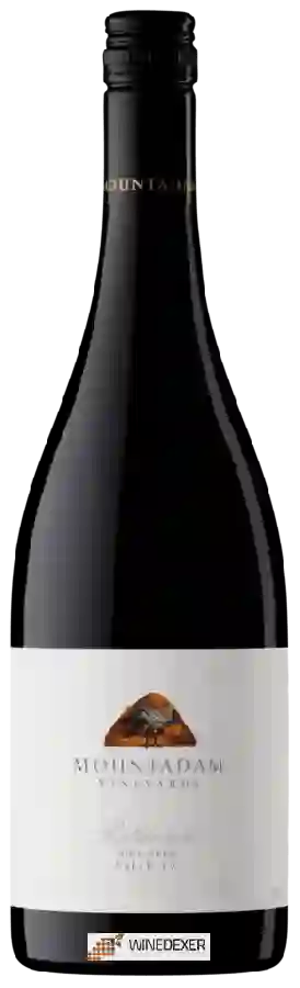 Winery Mountadam Vineyards - Patriarch Shiraz