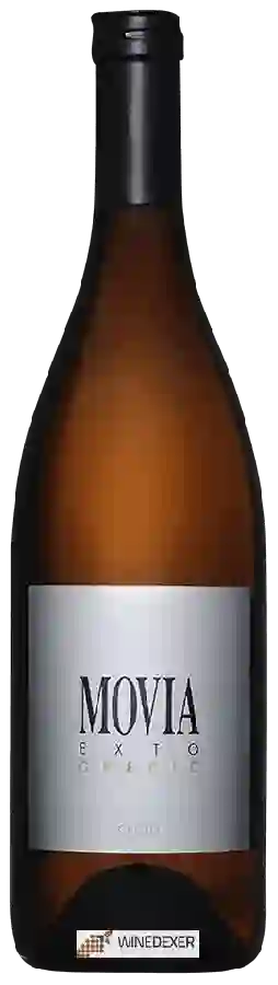Winery Movia - Exto Gredič