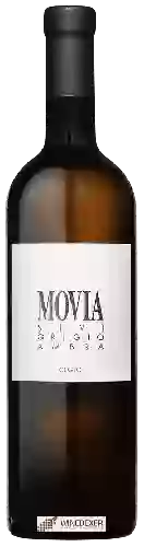 Winery Movia - Sivi Ambra Grigio