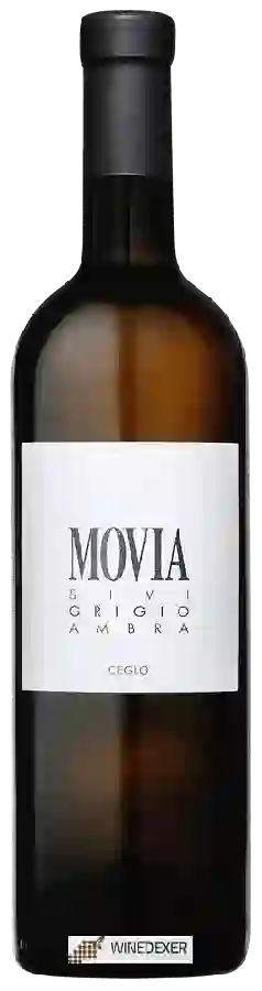 Winery Movia - Sivi Ambra Grigio Winery Movia - Sivi Ambra Grigio