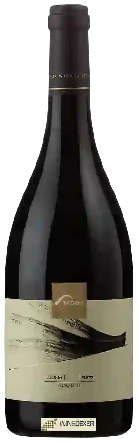Winery Tabor - Adama II Storm
