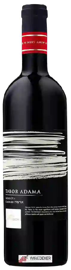 Winery Tabor - Adama Merlot
