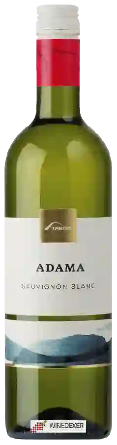 Winery Tabor - Adama Sauvignon Blanc